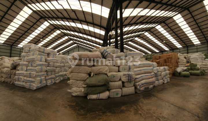 Dijual Gudang Kapuk Luas 1,5 Hektar Dijual Gudang Kapuk Luas 1,5 Hektar