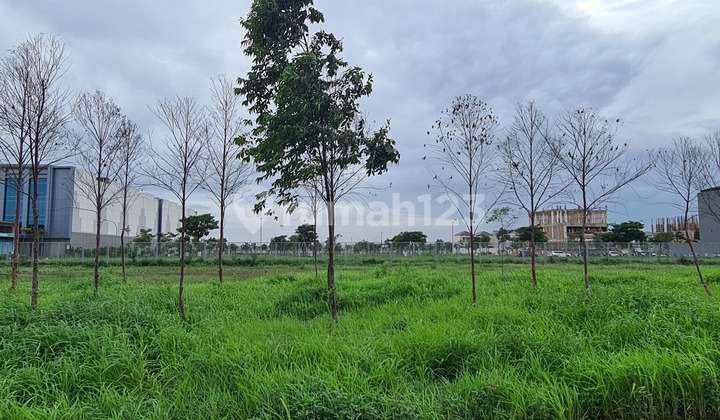 For Sale Fast Commercial Lot PIK 2 Near BCA Tower For Sale Fast Commercial Lot PIK 2 Near BCA Tower