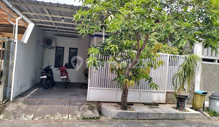 Rumah Terawat Siap Huni Sukolilo Dian Regency Dekat Its dan Pakuwon City