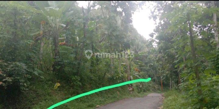 Tanah di Kulon Progo 4.9 Hektar Hub Ayu 081282365373 3