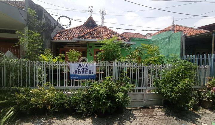 HARGA NEGO!!! Rumah Hitung Tanah Pusat Kota Kapasari 1