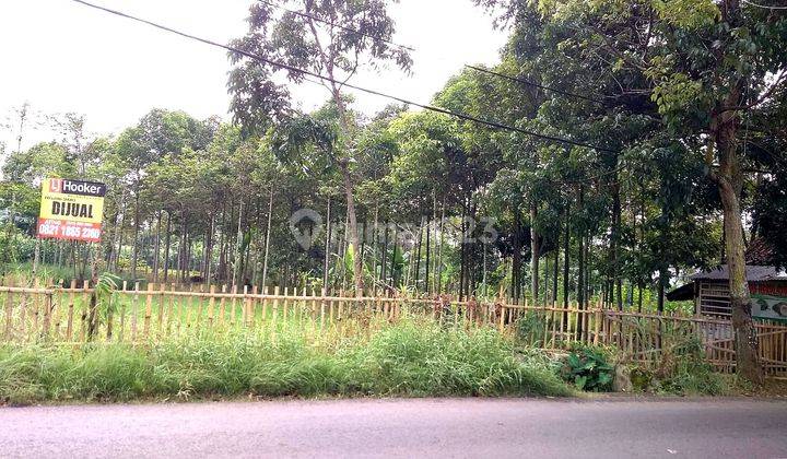 Dijual Tanah 13000m2 di Cipatik Soreang Dkt Stadion Jalak Harupat 1