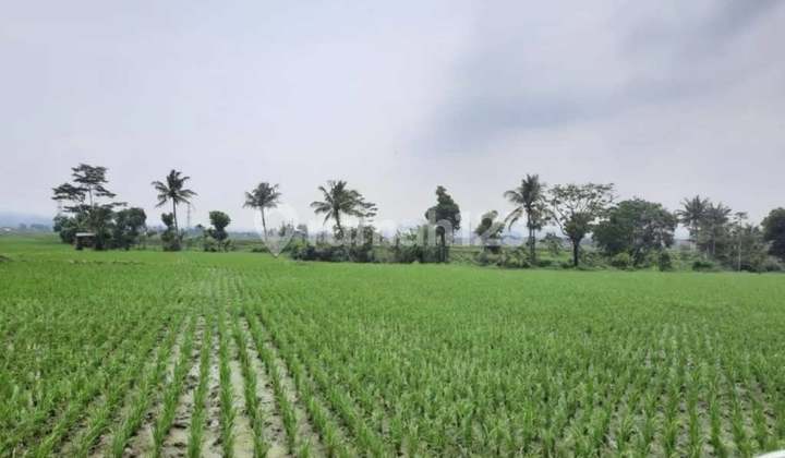 Tanah di Padalarang, SHM Lokasi Strategis Cocok untuk Investasi