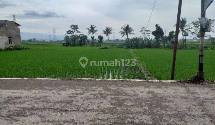 Tanah di Padalarang, Luas Lokasi Strategis Cocok Untuk Investasi 1