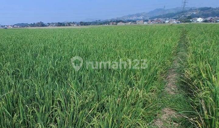 Tanah di Sodong Girang, Luas Strategis Dekat Sman 2 Padalarang