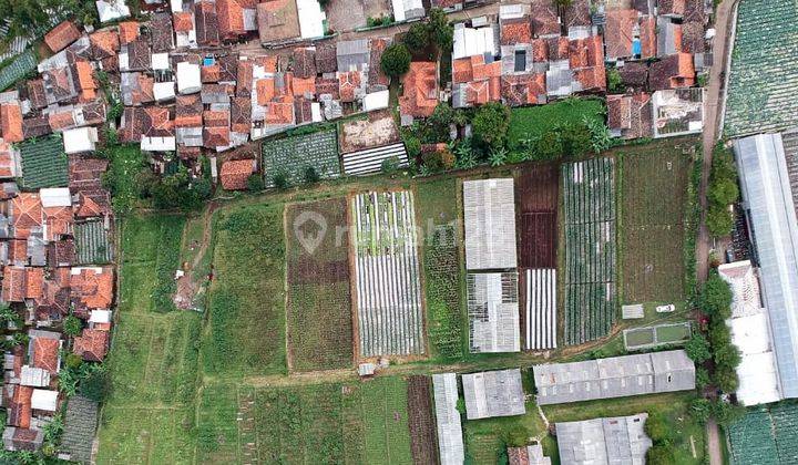 Tanah Kebun Datar 6.309 m² Dekat Spn Polda Jabar Di Cisarua  1