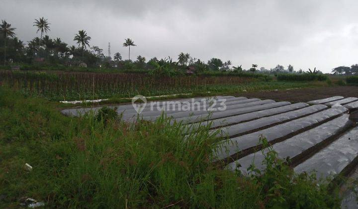 Tanah 1781 m² SHM di Jl Ibrahim Ajie, Kawasan Cipanas Garut 2