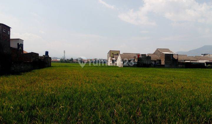 Tanah 3 ha (10 ha) zona kuning, dekat Stasiun Rancaekek 1