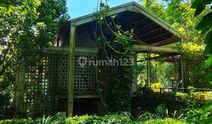 Rumah konsep tropis di Bukit Baruga dekat Masjid Sekolah Athirah 2