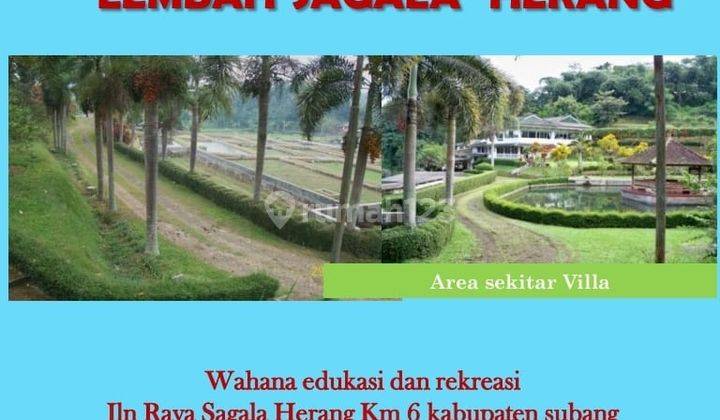 Tanah SHM 6 Ha Ada Villa, Kolam, Kebun di Jl Raya Sagalaherang 1