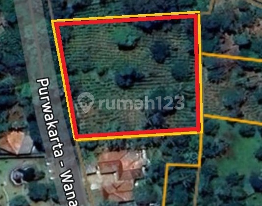 Tanah SHM 2924 M² Jl Raya Barat Wanayasa, Taringgul Tonggoh # Tanah SHM 2924 M² Jl Raya Barat Wanayasa, Taringgul Tonggoh #