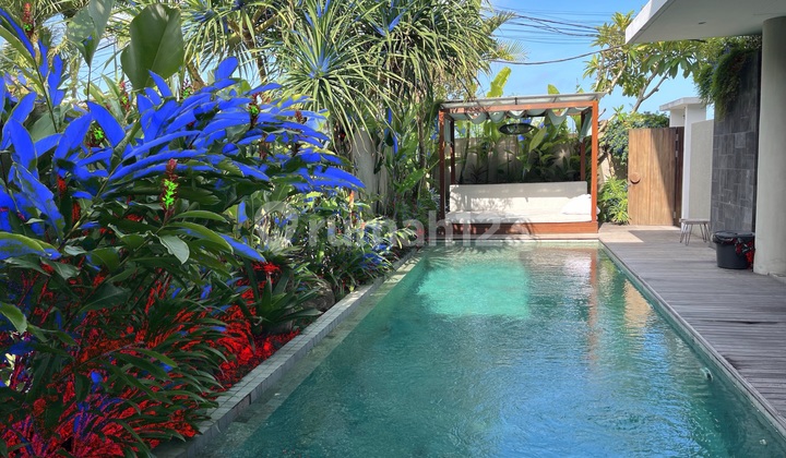 Beautiful and Clean Villa in the Center of Seminyak