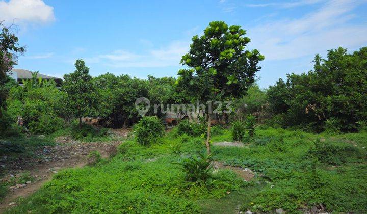 Tanah Beachfront Pantai Kedonganan Jimbaran 2