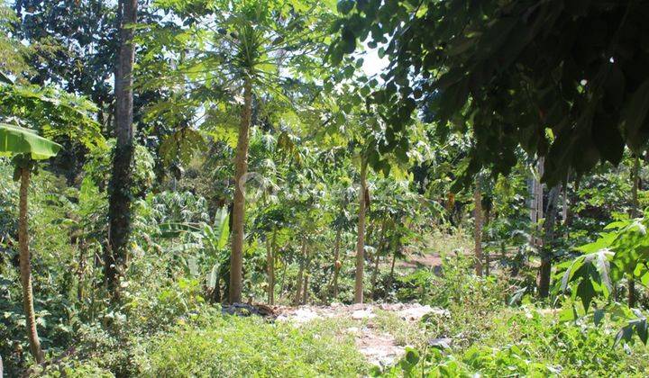 Tanah Tepi Sungai Dekat Pererenan Canggu  2