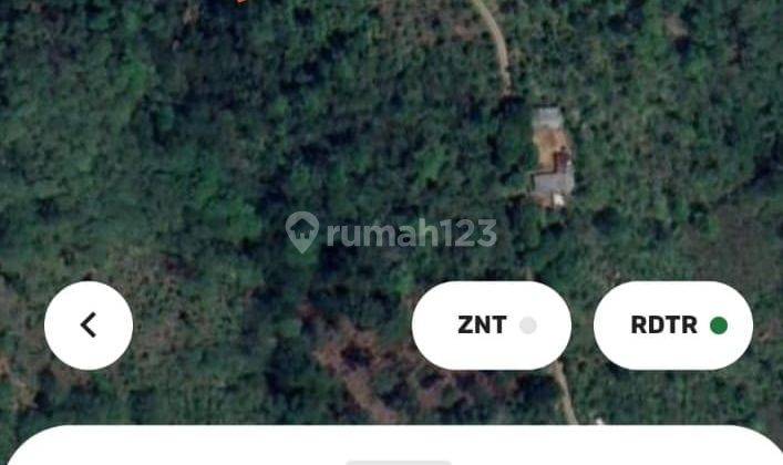Tanah Perkebunan Subur Dekat Danau Buyan Dan Danau Tamblingan 5
