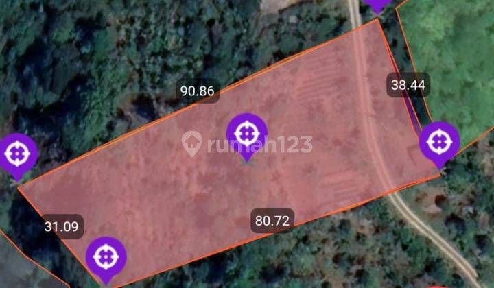 Tanah Perkebunan Subur Dekat Danau Buyan Dan Danau Tamblingan 6