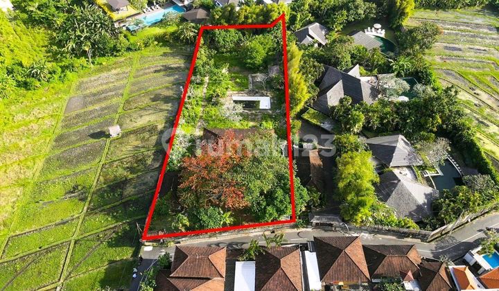 Harga Murah Bentuk Ideal Lokasi Bagus Di Umalas