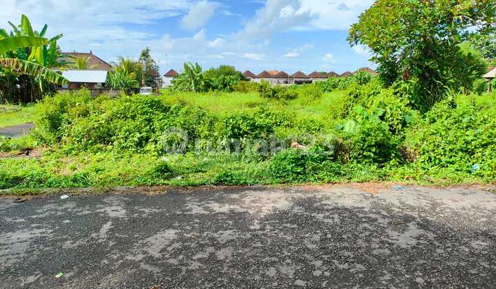 Murah Hanya 2,5 Juta/m2 Dekat Pantai Kedungu