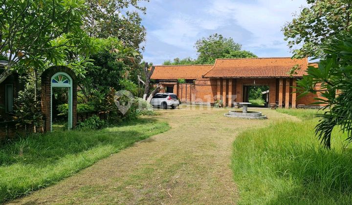 Spacious 5500 M2 Land With Joglo Pavilion Spacious 5500 M2 Land With Joglo Pavilion