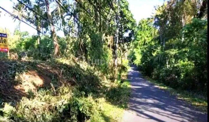 5 Menit Atau Hanya 400 Meter Jalan Kaki Ke Pantai  2