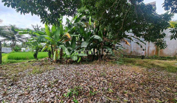 Lokasi Ubud Centre Hanya 300 Meter Dari Neka Museum