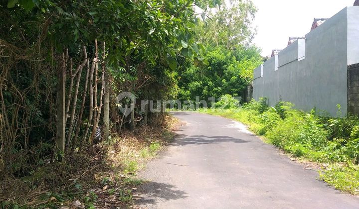 Investasi Emas Di Uluwatu Tanah 2ha Dibawah Harga Pasar Investasi Emas Di Uluwatu Tanah 2ha Dibawah Harga Pasar