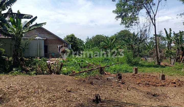 Jual Cepat Tanah Kosong Desa Kabasiran Parung Panjang