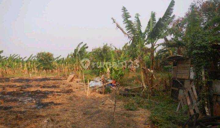 Tanah Komersial Rata Padat Siap Bangun Gedung 24 Lantai Cengkareng Timur Jakarta Barat  1