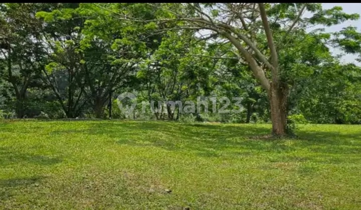 Jual Kavling Cluster Inika Island Cakep Kotak The Avani Bsd City