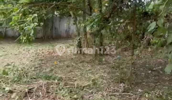 Tanah Kosong Jual Di Bawah Njop Jagakarsa Jalan Durian Raya