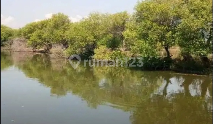Dijual Tanah Tambak di Tambak Oso Waru Sidoarjo 2