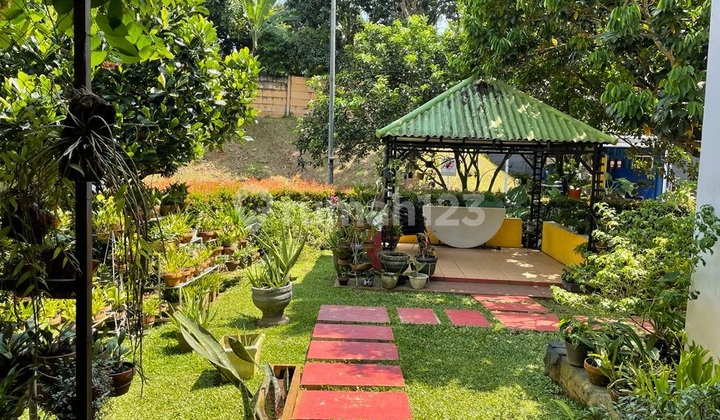 Brazillia Flamengo De Latinos BSD City 2