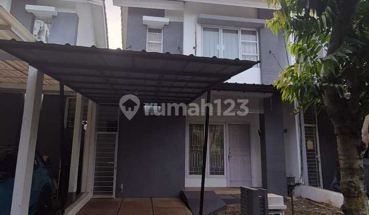 Patagonia of the Latinos. BSD City.