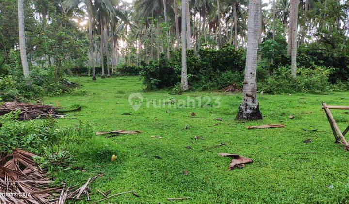 BEACHFRONT COCOK DIBANGUN VILLA, CAFE & RESTO Tanah Tepi Raya Denpasar - Gilimanuk Pekutatan Jembrana Bali 3
