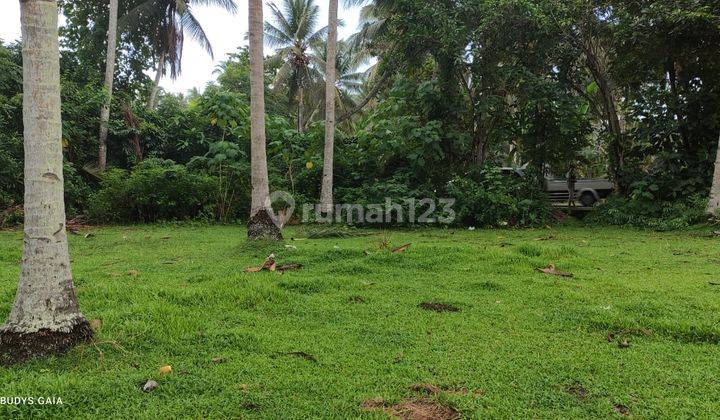 BEACHFRONT COCOK DIBANGUN VILLA, CAFE & RESTO Tanah Tepi Raya Denpasar - Gilimanuk Pekutatan Jembrana Bali 4