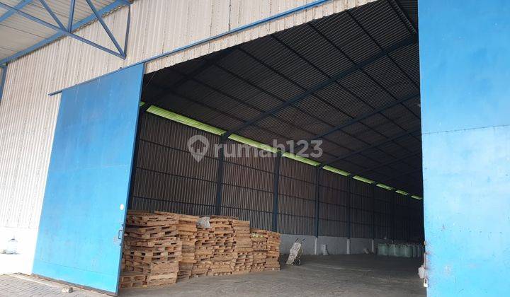 Nol Jalan Pantura Beli Gudang Bonus Tanah Luas Gembong Lamongan 7