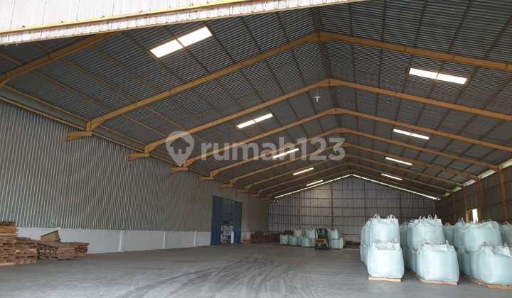 Nol Jalan Pantura Beli Gudang Bonus Tanah Luas Gembong Lamongan 8