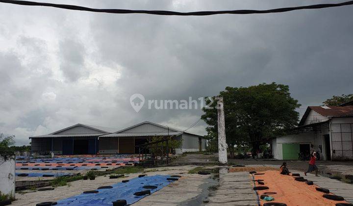 Nol Jalan Pantura Beli Gudang Bonus Tanah Luas Gembong Lamongan 11