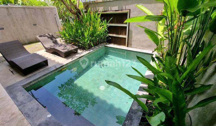 Good Location 3 Bedrooms Villa Near Canggu 2