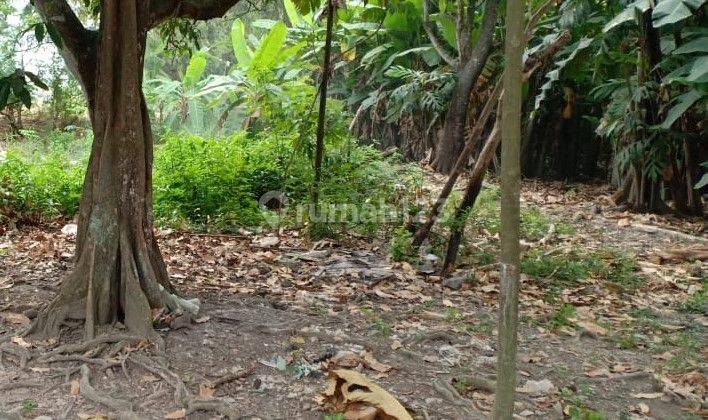 Siap Bangun Tanah Pekarangan Jumputrejo Sukodono Sidoarjo 2