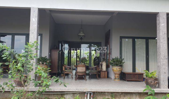 15 Menit Ke Canggu Dekat Pantai Villa View Sawah Kaba kaba Tegal Kepuh Tabanan Bali Tenang Asri Favorit Bule 15