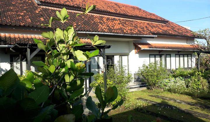 15 Menit Ke Canggu Dekat Pantai Villa View Sawah Kaba kaba Tegal Kepuh Tabanan Bali Tenang Asri Favorit Bule 17