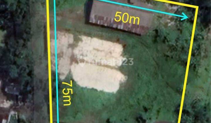 Nol Jalan Kabupaten Tanah Ex Pabrik Beras 3500m2 Kedungmoro Kunir Lumajang Kota 6