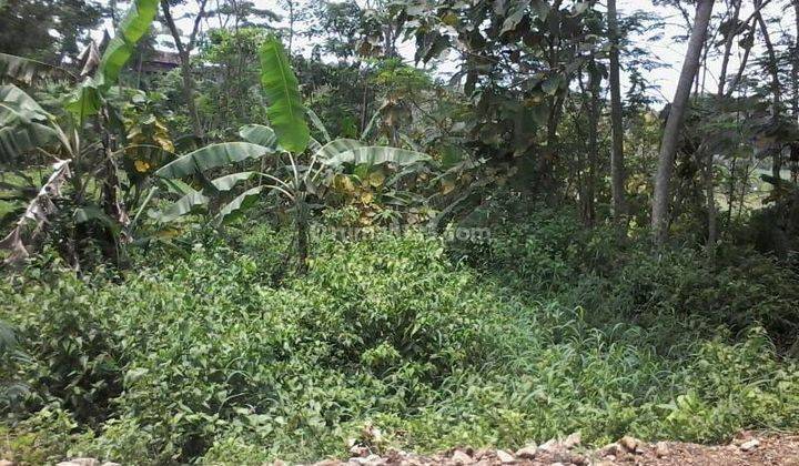 100m Dari Jalan Propinsi Kavling Kawasan Berkembang Cocok Utk Perumahan, Gunungan Dawarblandong Mojokerto Jalan Depan Hotmix 1