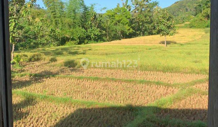 Jual Cepat Tanah Ngantong Rumah 2 Lantai Salamrejo Berbek Nganjuk Murah Nego 5