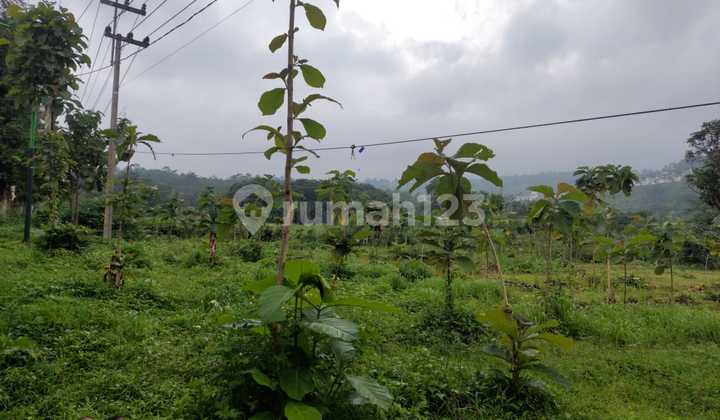 Nempel Taman Dayu Persis Kavling Siap Bangun 3455m2 Nol Jalan Indrokilo Dayurejo Prigen Cocok Utk Villa, Cafe Resto 2