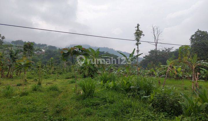 Nempel Taman Dayu Persis Kavling Siap Bangun 3455m2 Nol Jalan Indrokilo Dayurejo Prigen Cocok Utk Villa, Cafe Resto 4