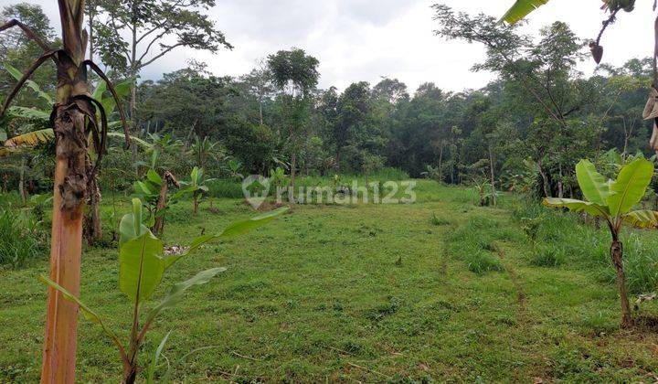 Cocok Dibangun Komplek Villa Kavling 1.23ha Nol Jalan Indrokilo Dayurejo Prigen Ada Pagar Keliling 3