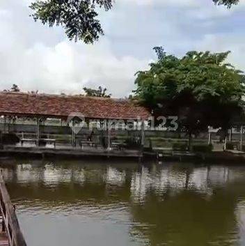 PASSIVE INCOME READY Jual Resto & Pemancingan Aktif 5.8Ha Candi Sidoarjo Ramai Banyak Pengunjung 9