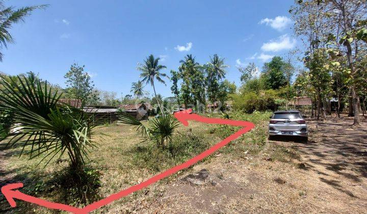 STRATEGIS 200M DARI JALAN NASIONAL Kavling Siap Bangun Sentolo Kulonprogo Yogyakarta 311m2 Akses Jalan 2 Mobil Murah 1